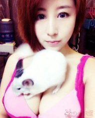 ȤζЦͼƬϼ 