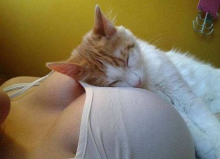 ЦͼƬ˱ 